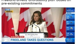 加拿大福利的最新爆料,全面解读民生保障新篇章