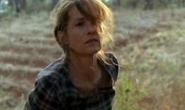 白色物质在线观看,在线观看带你探索未知世界