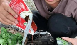 网红吃瓜摇头表情包gif,趣味横生的网络潮流