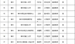 天涯爆料沈南鹏被抓视频,天涯爆料视频揭示惊人真相