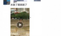 网友爆料内江新闻视频播放,内江新闻视频播放引发网友热议