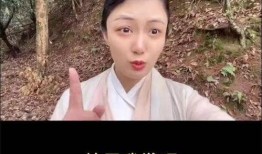 群演爆料杨洋视频大全,杨洋视频大全，揭秘明星幕后生活瞬间