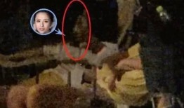 雷佳音女儿爆料了吗视频,揭秘明星家庭幕后故事