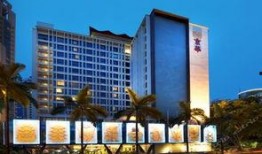 新加坡酒店最新爆料,奢华体验与隐秘角落大揭秘