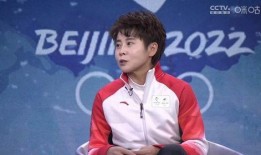 教练爆料王濛视频大全集,教练视角下的运动传奇