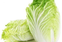 吉林大白菜爆料视频大全,揭秘田间地头新鲜事