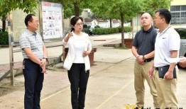 广东今日关注爆料要钱吗,揭秘真相，付费与否？