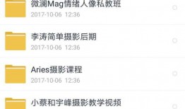 网红爆料素材视频大全集,揭秘网络热点背后的真相