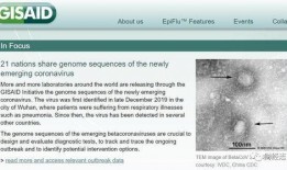 美国基因公司爆料新闻,揭秘美国生物科技行业黑幕