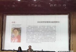 深圳横岗王先生爆料新闻,揭秘深圳横岗最新热点事件