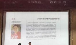 深圳横岗王先生爆料新闻,揭秘深圳横岗最新热点事件