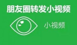 襄阳爆料小绿视频,小绿视频引发热议，揭秘背后真相