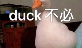 鸭子最新爆料,揭秘娱乐圈幕后真相