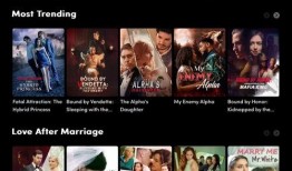 中文在线观看亚洲,在线观看，畅享多元文化魅力