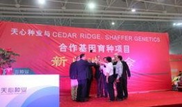 美国基因公司爆料新闻,揭秘美国生物科技行业黑幕