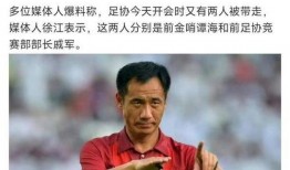 中超裁判爆料最新消息新闻,揭秘赛场幕后真相与争议瞬间