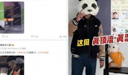 狗仔爆料 刘大锤视频,狗仔爆料背后的真相