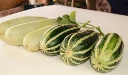 伦敦网红吃瓜视频,网红带你探秘伦敦美食风云