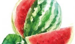 吃瓜模板素材下载免费,吃瓜群众眼中的明星幕后故事