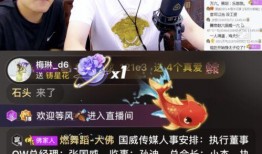 威哥直播爆料航哥视频,威哥爆料背后的精彩瞬间