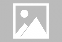 娱乐爆料小五郎视频大全,小五郎视频大全，揭秘经典瞬间！