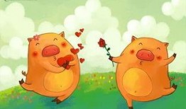 小猪崽子爆料娱乐圈小说,娱乐圈背后的秘密风云