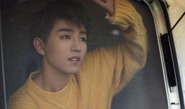 王俊凯爆料罗晋视频大全,视频大全带你领略明星魅力