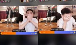 顾茜茜爆料网红圈视频播放,视频播放背后的惊人真相