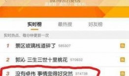 卓伟爆料剪图视频,揭秘娱乐圈幕后真相，剪图视频揭露惊人内幕