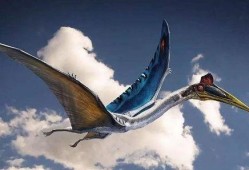 风神翼龙最新爆料图片