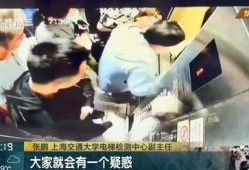 重庆燕子爆料视频大全集,揭秘城市生活百态