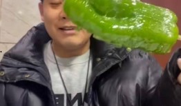 北美网红吃瓜事件视频,揭秘网络舆论的风暴中心