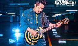 大鹏爆料辛巴视频播放,大鹏爆料视频引发热议