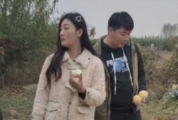 陈亚男朋友爆料视频播放,揭秘背后惊人真相