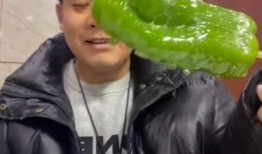 网红弋优吃瓜,揭秘娱乐圈幕后真相