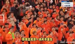 山东队最新爆料,揭秘球队备战新赛季的神秘计划