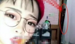 顾茜茜爆料网红圈视频播放,视频播放背后的惊人真相