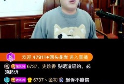 小元宵被爆料视频大全集,揭秘背后真相与争议