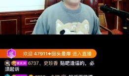 小元宵被爆料视频大全集,揭秘背后真相与争议