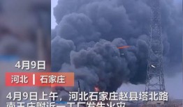 抚州媒体爆料事件视频播放,视频揭露惊人真相