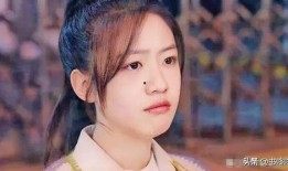 向涵之娱乐圈爆料,向涵之爆料背后的真相与内幕