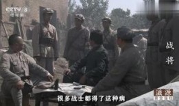 在线观看 战将,烽火岁月里的英雄传奇