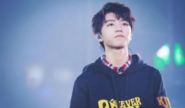 王俊凯爆料罗晋视频大全,视频大全带你领略明星魅力