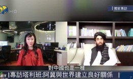 香港本地人爆料视频大全,视频大全揭示真实街景与民生百态