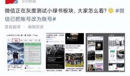 襄阳爆料小绿视频,小绿视频引发热议，揭秘背后真相