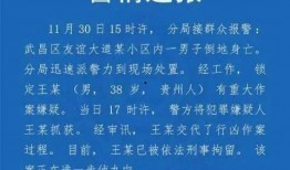 高校教师爆料视频大全集,揭秘教育行业背后的真相