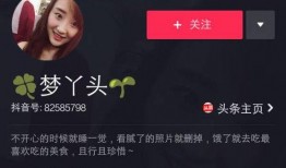 抖音专门爆料娱乐圈的人有哪些,揭秘幕后真相的神秘力量