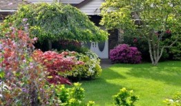 家庭花园爆料视频在线,跟随视频探索绿色生活奥秘