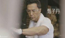 甄子丹爆料视频,揭秘武术电影背后的真实故事