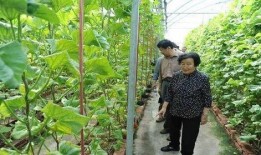 建阳吃瓜最新事件爆料是真的吗,最新爆料真相揭秘